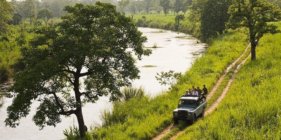 Chitwan Jungle Safari Tour Jeep Safari